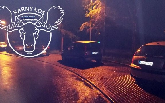 Mały Łoś na dwóch miejscach – FOTO