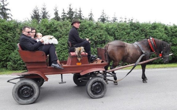 W Pławach podziękowali za plony – FOTO