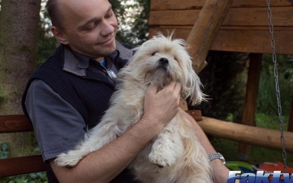 Dzień kundelka i wasze czworonogi – FOTO