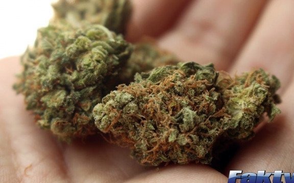 Alkohol szkodzi… kolegom