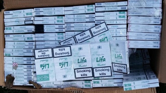 Pies ma nosa do tytoniu – FOTO