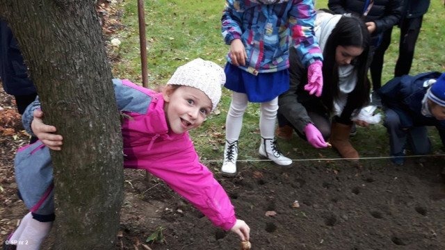 Pola Nadziei przy oświęcimskiej Dwójce – FOTO