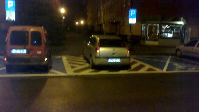 Karny Łoś, czy Karna Klępa?