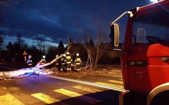 W Kętach drzewo spadło na samochód