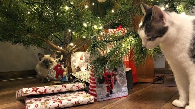 Nasze życzenia dla naszych Czytelników – FILM