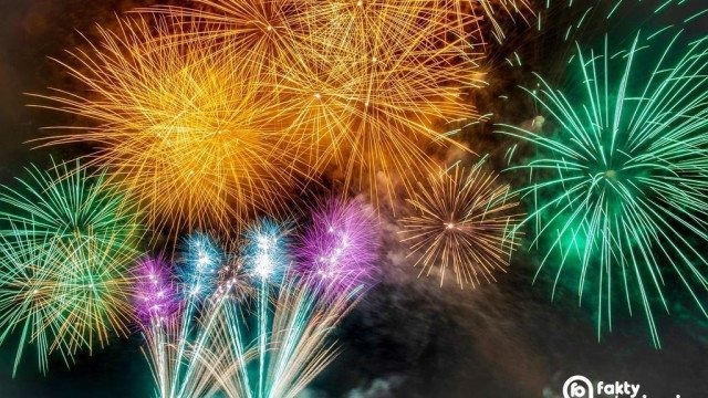 Zadbaj o zwierzęta w noc sylwestrową