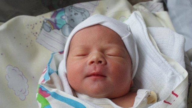 Witamy Jagodę, Amelkę, Lilkę, Tosię, Jana i Tomka – FOTO