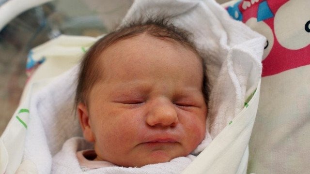 Witamy jedenaścioro pociech – FOTO