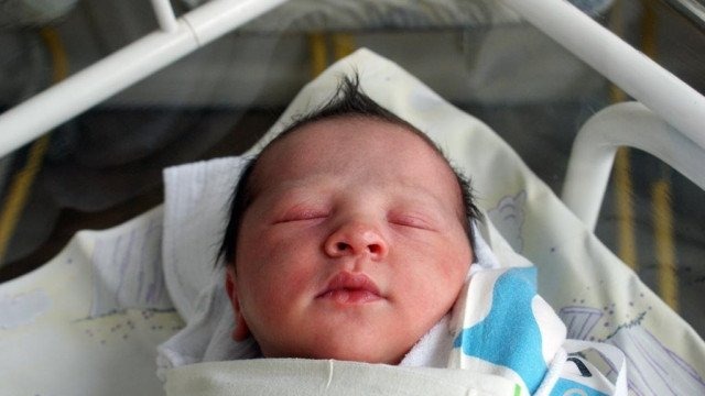 Witamy cztery piękne i siedmiu wspaniałych – FOTO