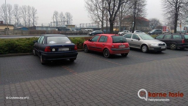 “Rykowisko” Karnych Łosi