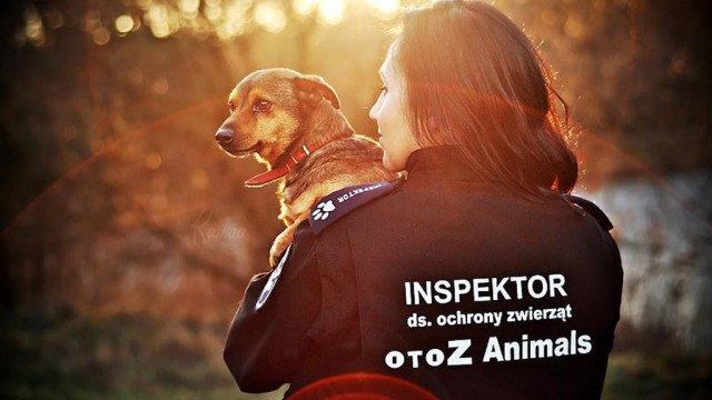 Kochasz zwierzęta, masz czas? Zostań inspektorem OTOZ Animals