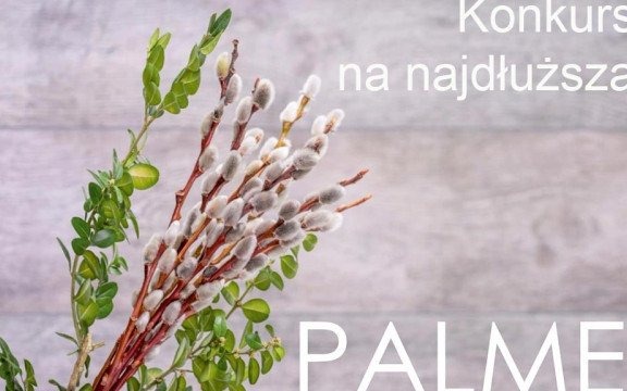 Konkurs na najdłuższą palmę