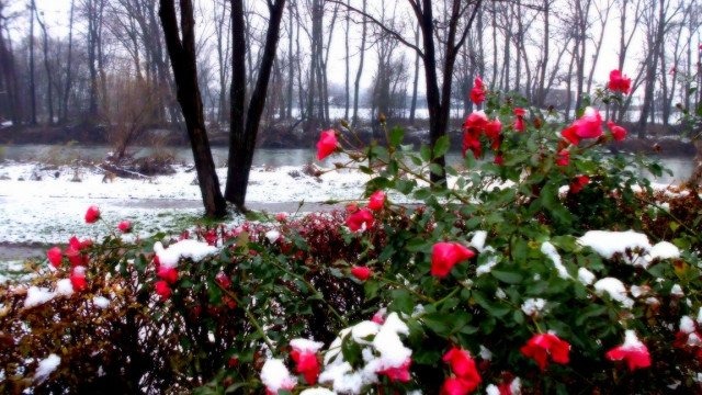 Wielkanoc z deszczem i śniegiem