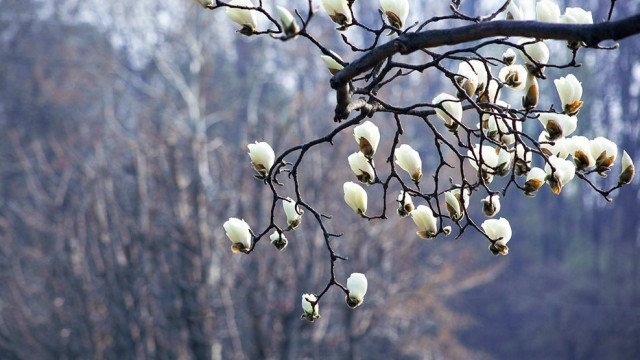 Prawdziwa wiosna tuż tuż