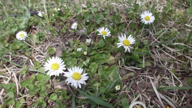 Wiosenny wtorek w obiektywie – FOTO