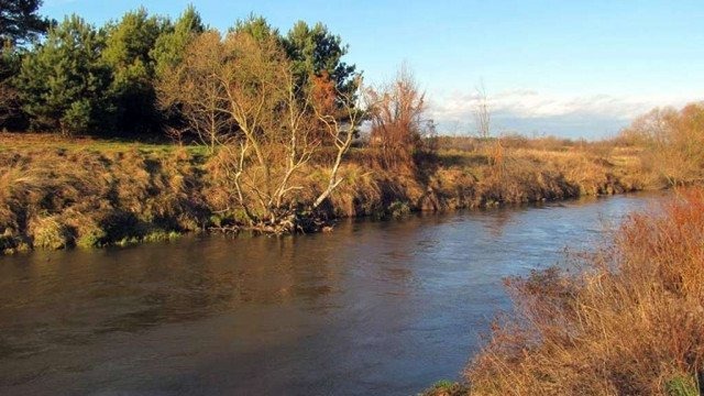 Wspólnymi siłami posprzątają Przemszę