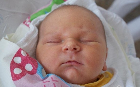 Witamy wśród nas nowych mieszkańców – FOTO