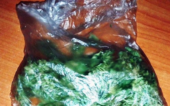 Kilkadziesiąt porcji marihuany u 20-latka