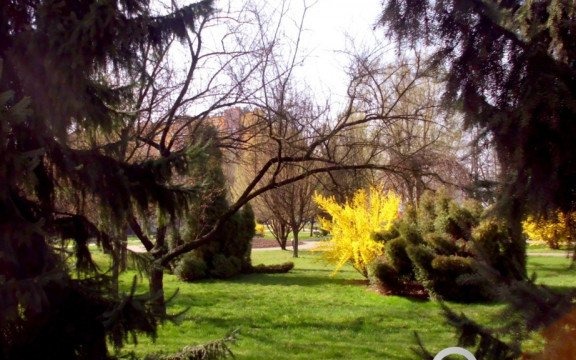 Słoneczna połowa kwietnia