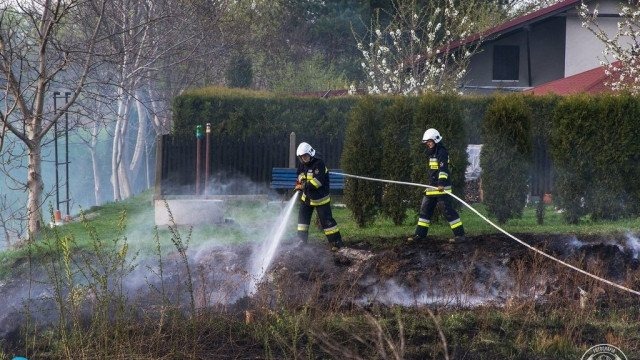 Gaszenie głupoty – FILM, FOTO