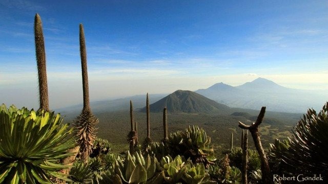 W drodze na najwyższe szczyty Afryki
