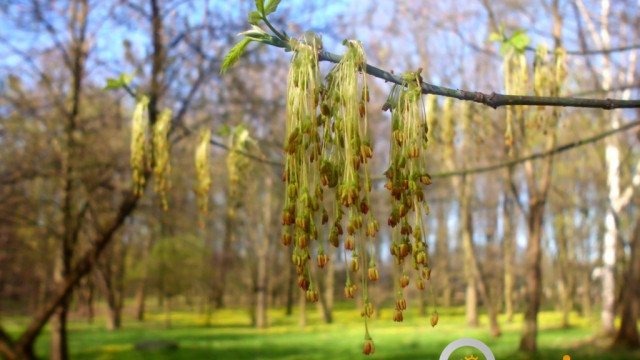 Rozganiamy chmury – FOTO