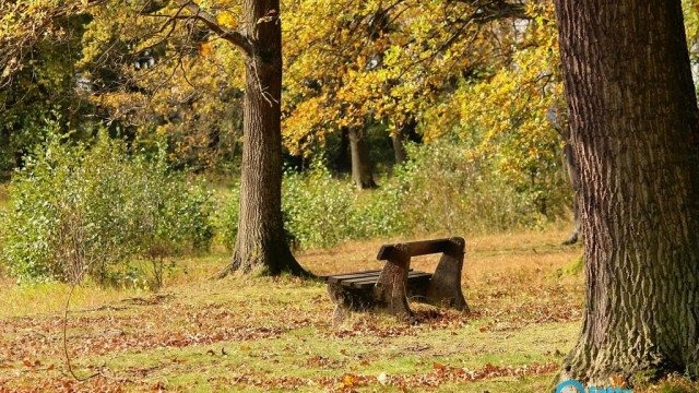 Tragiczny finał plenerowej imprezy