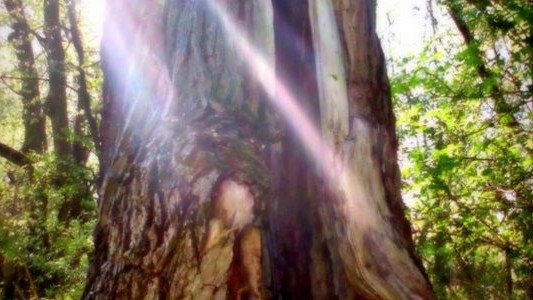 Będziemy cieszyć się promieniami słońca