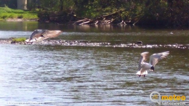 Ostrzeżenia drugiego stopnia dla Małopolski