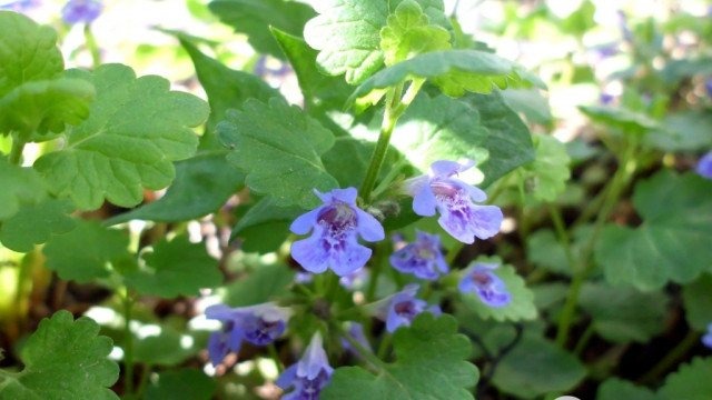 Czasem słońce, czasem deszcz – tak do soboty