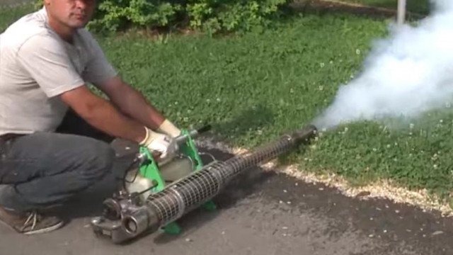 Wieści z ratusza w Oświęcimiu – FILM