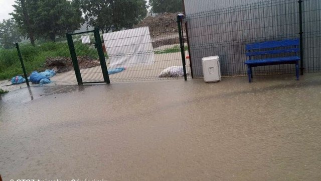 Zalane schronisko potrzebuje Waszej pomocy – FOTO