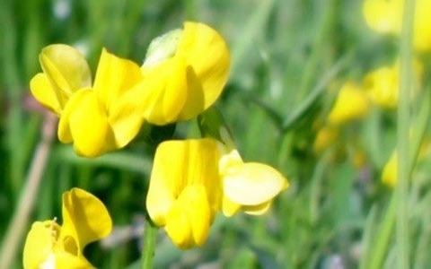 Po ulewach czas na słońce – FILM