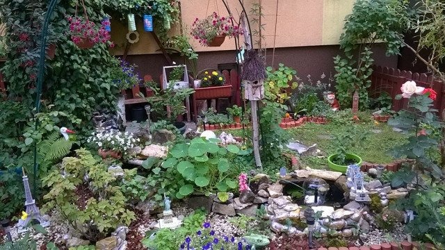 Masz piękny ogród lub balkon? Pochwal się nim
