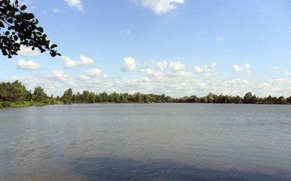 Zawody wędkarskie z okazji Dnia Dziecka