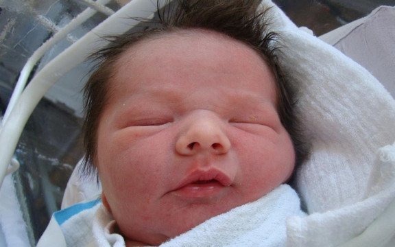 Witamy wśród nas szóstkę maluchów – FOTO