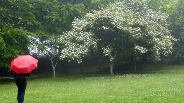 Prognoza pogody na środę: deszcz i burze