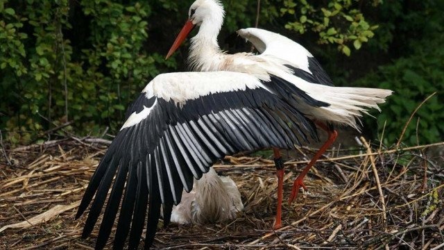 Ostrzeżenie drugiego stopnia dla powiatu oświęcimskiego
