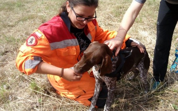Ćwiczyli na poligonie z psami – FOTO