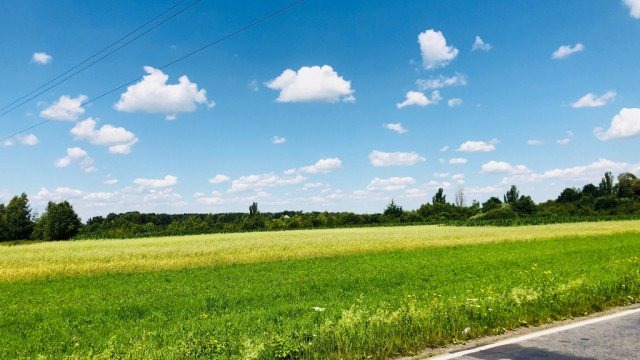 W sobotę dużo słońca