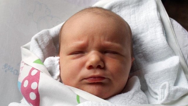 Witamy osiem dziewczynek i pięciu chłopców – FOTO