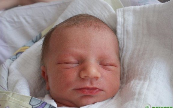 Aleksander Damian Piega