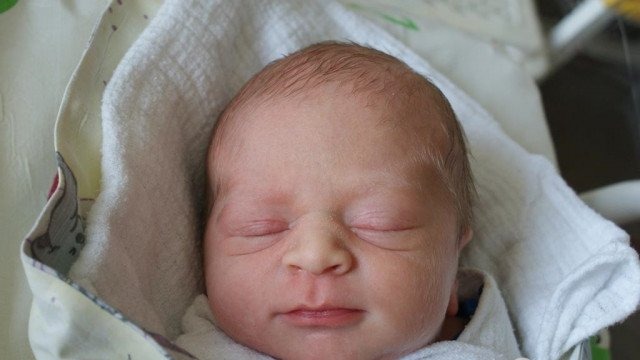 Witamy wśród nas ósemkę maluchów – FOTO