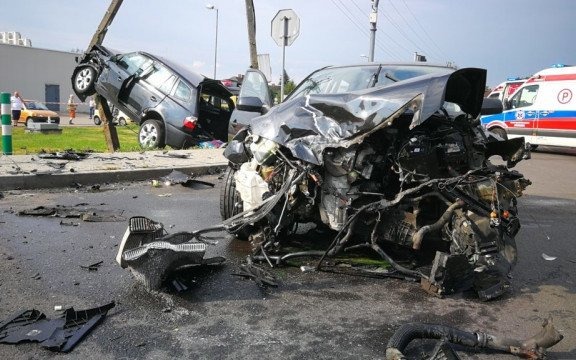 Wylądował na słupie energetycznym – FOTO