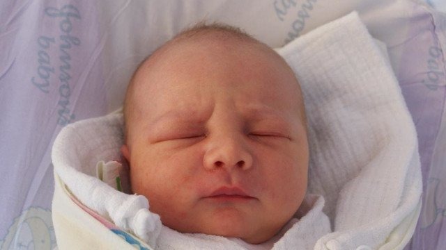 Witamy wśród nas tuzin maluszków – FOTO