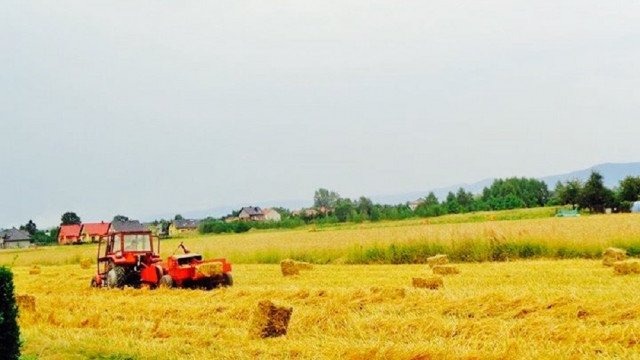 Dożynki w Piotrowicach