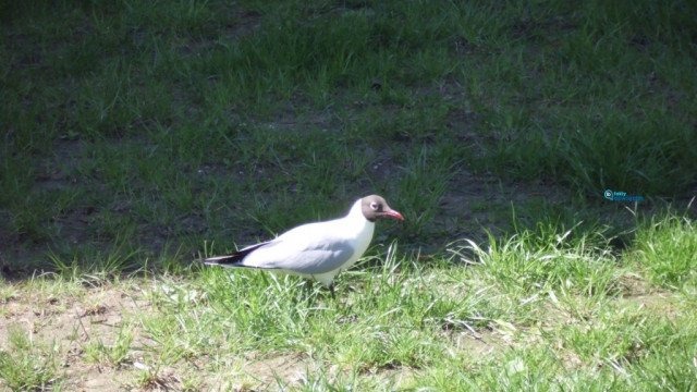 Upalne rozpoczęcie tygodnia