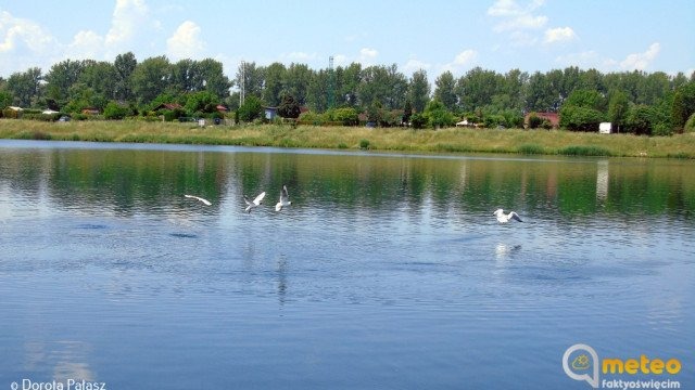 Ciepły, słoneczny dzień