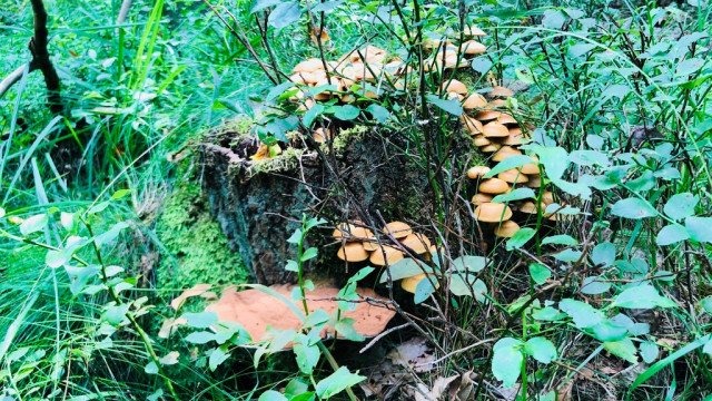 Burzowo i bez upałów