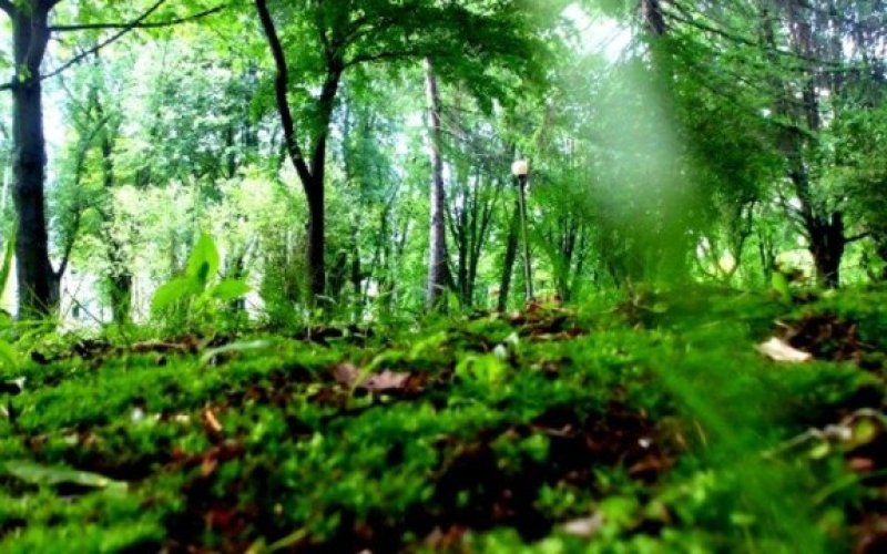 Upalne i słoneczne lato nas porzuca